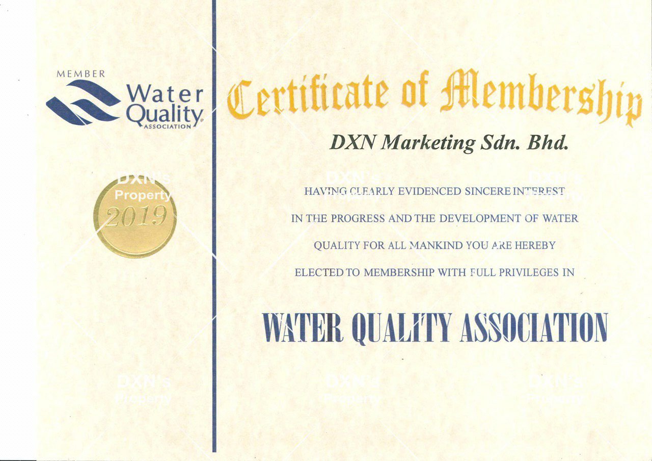 photo_2024-02-08_20-09-05