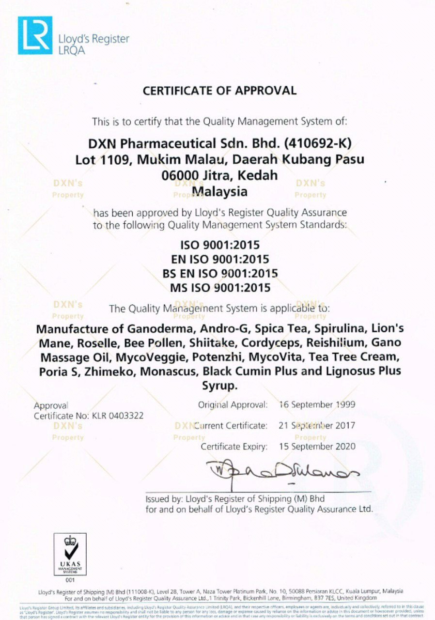 photo_2024-02-08_20-09-06