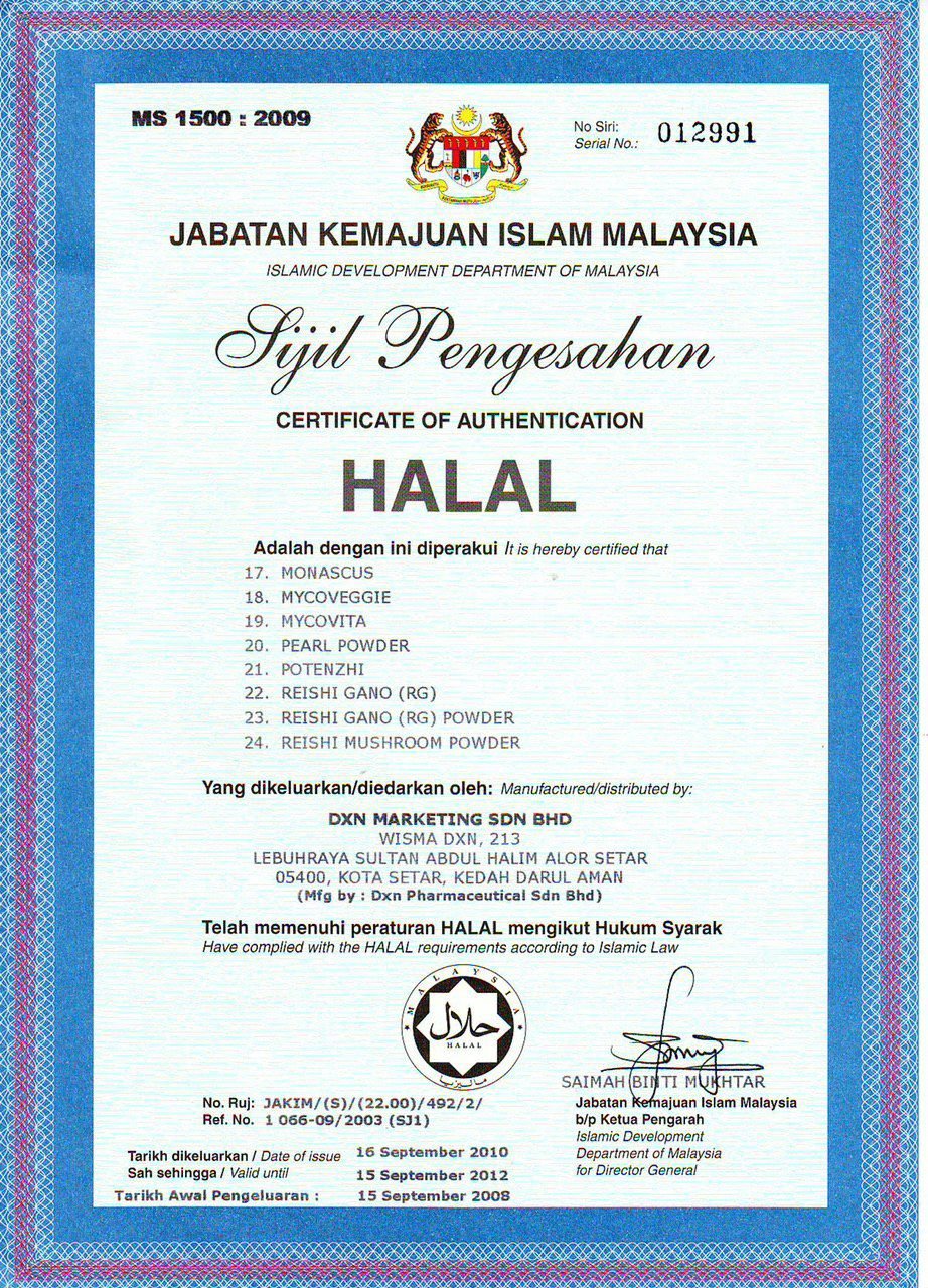 photo_2024-02-08_20-09-41